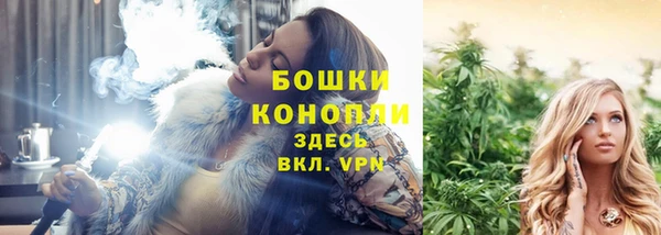 шишки Аркадак