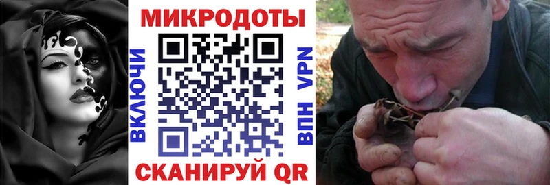 Псилоцибиновые грибы Magic Shrooms  hydra как войти  Карабаш 